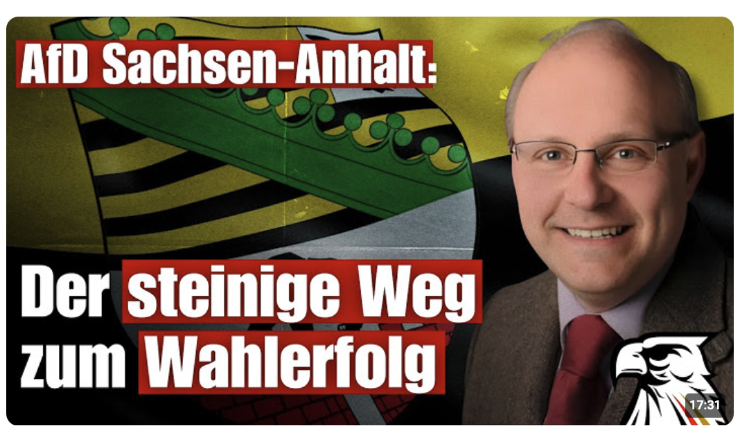 AfD Sachsen-Anhalt: Der steinige Weg zum Wahlerfolg