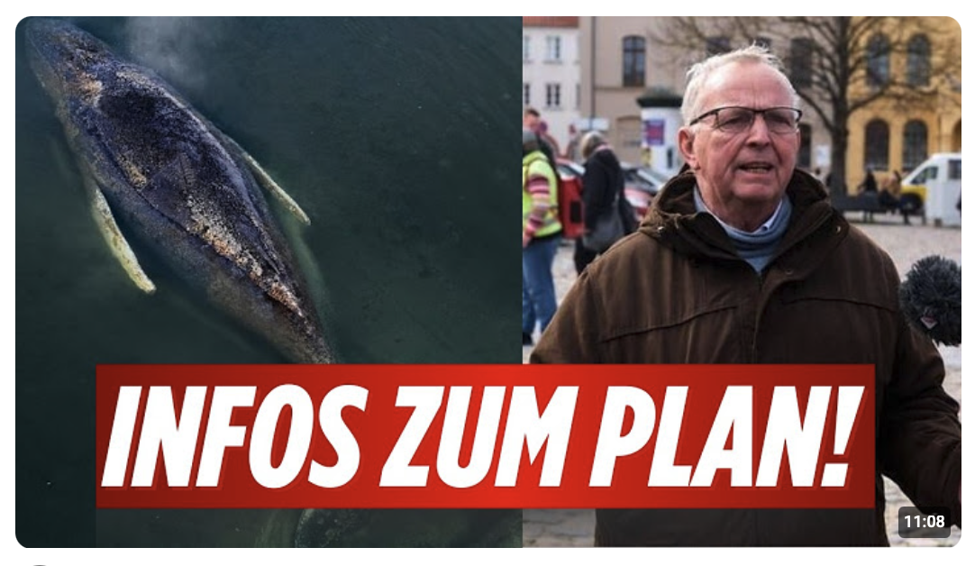 Insiderin spricht über neuen Rettungsplan! Wann wird Timmy endlich geholfen?