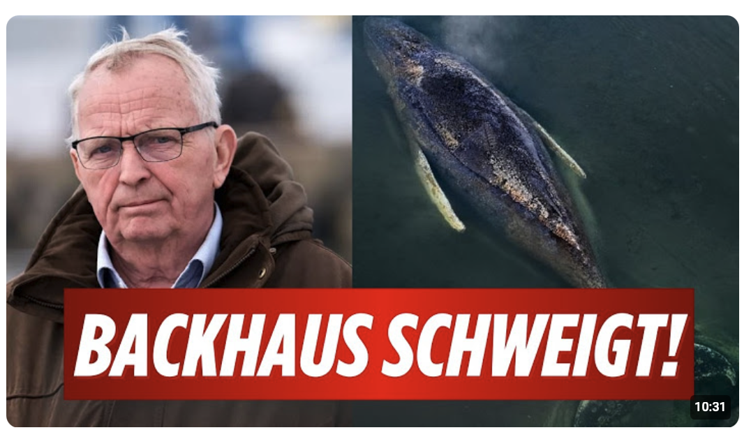 Walexperte meldet sich zu Wort! Insiderin spricht über die Fortschriett bei Timmy!