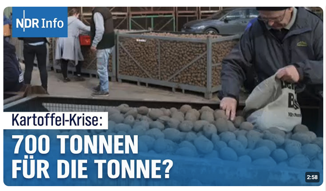 700 Tonnen Kartoffeln verschenken: Landwirt löst Kartoffelkrise kreativ |
