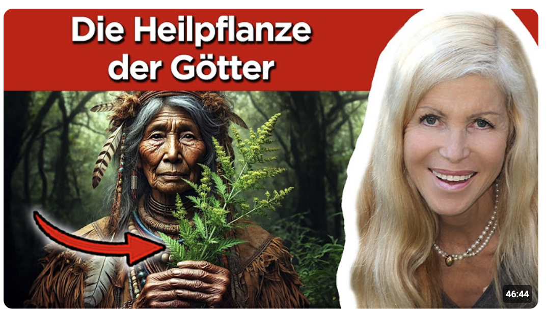 Das passiert, wenn du Artemisia Annua einnimmst (verboten?!)