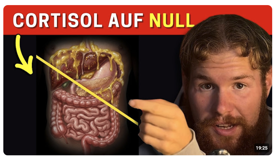 Wie du deinen Körper zwingst Viszerales Fett zu Verbrennen mit Null Cortisol