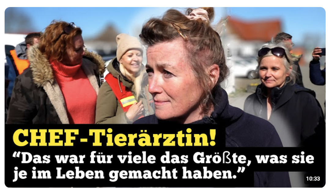 CHEF-Tierärztin zu Hope Rettung: Das war für viele das Größte, was sie je im Leben gemacht haben