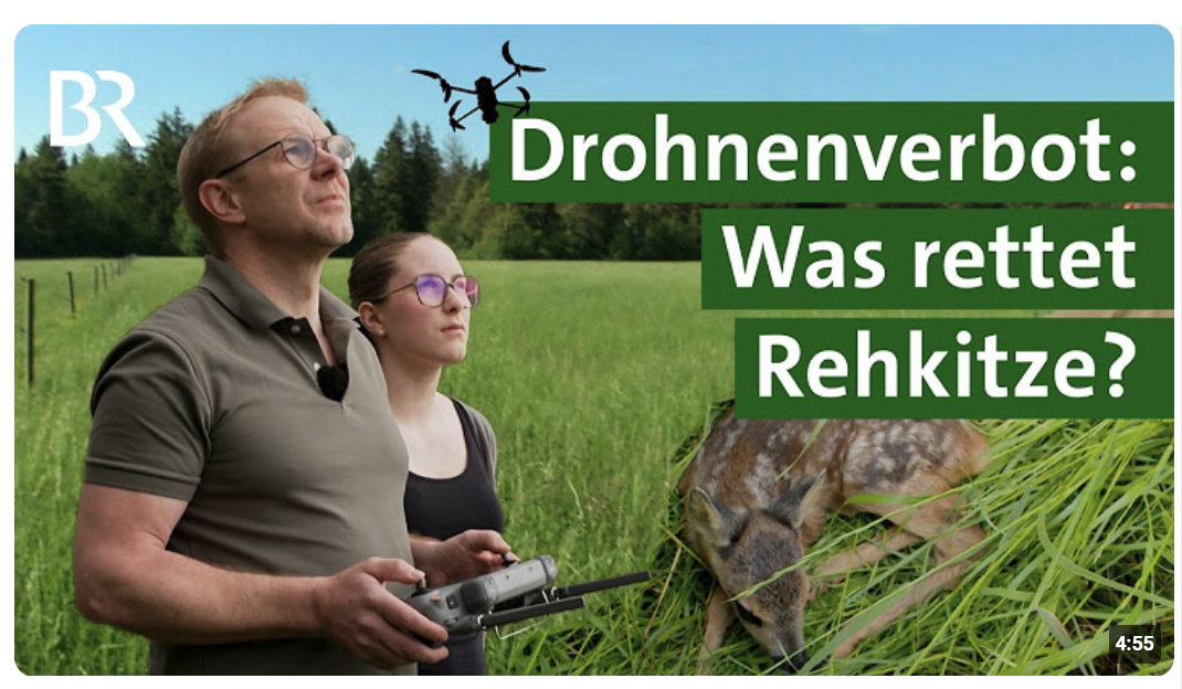 Rehkitzrettung in Gefahr? Wenn Drohnen nicht starten dürfen | Unser Land | BR
