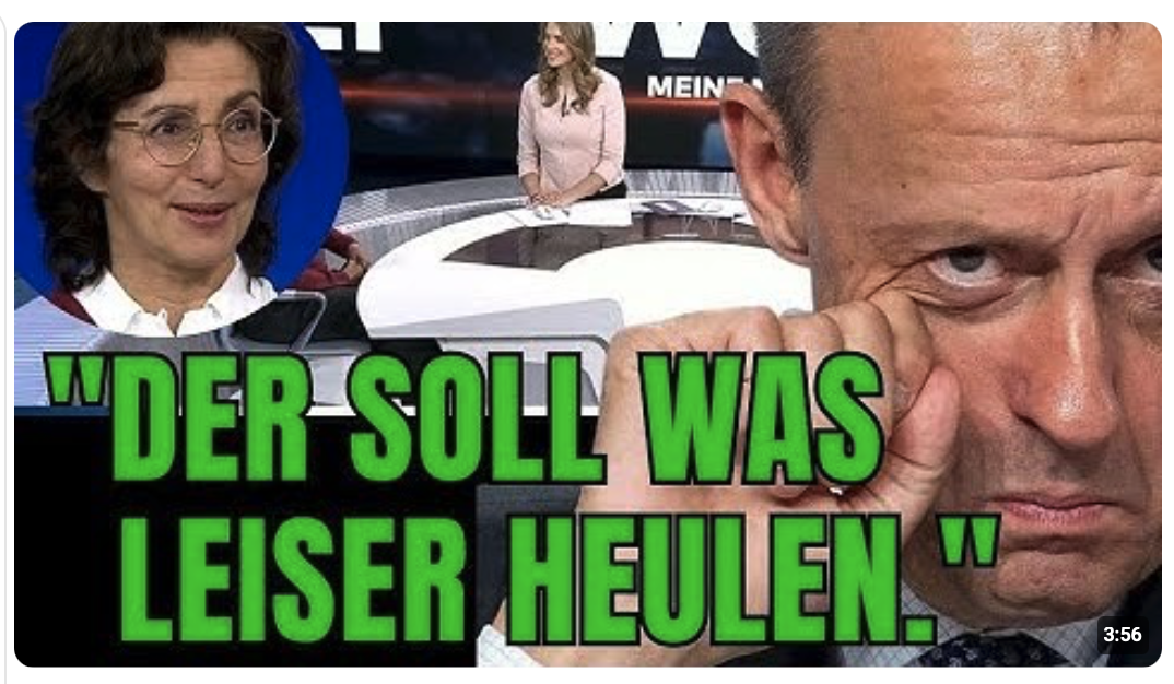 Wird Merz zu hart kritisiert?
