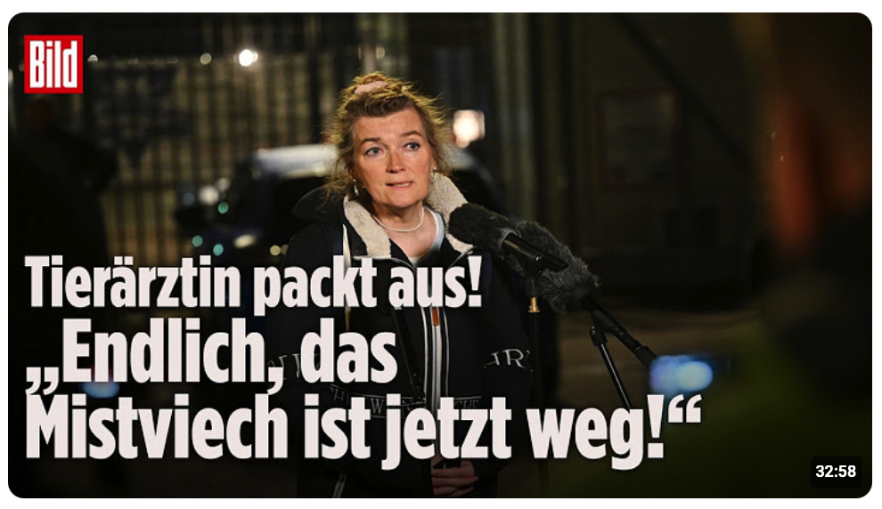 OSTSEE-DRAMA GEHT WEITER: Crew unter großem Druck nach Tönnies Vorwürfen zur Walrettung!