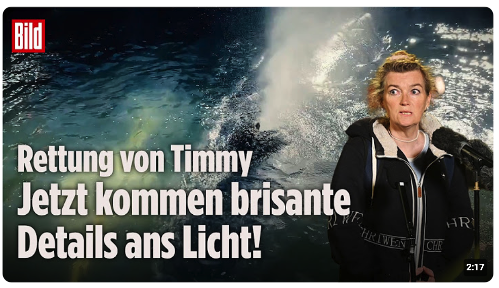STREIT ESKALIERT: Wal Timmy frei – Crew unter Druck wegen Radar-Drama