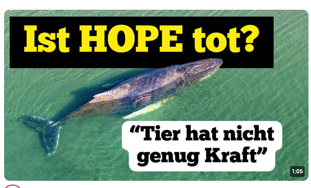 Ist Hope tot?