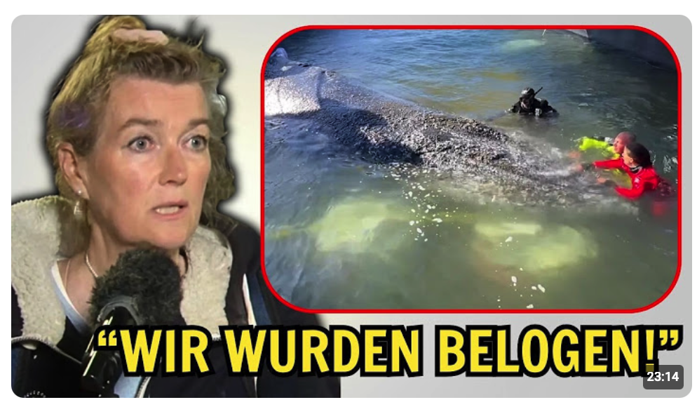 “Wir wurden belogen!” – Tierärztin zerlegt Timmy-Rettung vor laufender Kamera