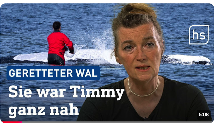 Gestrandeter Wal: Kirsten Tönnies war live dabei bei der Timmy-Rettung