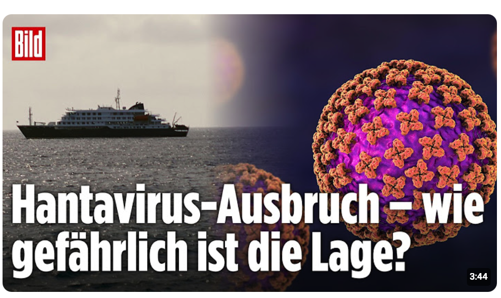 Hantavirus erklärt: Experte warnt vor Gefahr auf Kreuzfahrtschiff