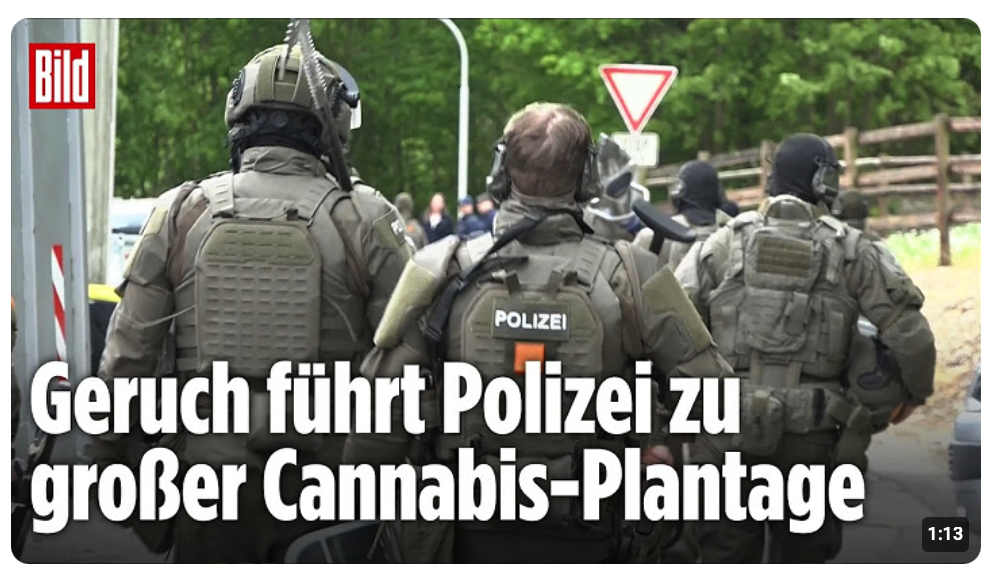DUFT ENTLARVT GEHEIMNIS: Polizei stürmt Gebäude und macht Mega-Fund