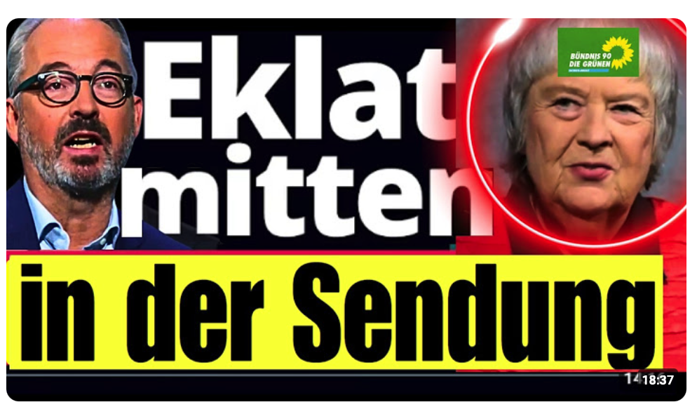 „Atomstrom verstopft Netz“ – Fleischhauer verzweifelt an grüner Ideologin !