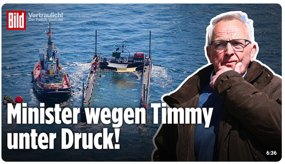 Drama um Wal Timmy geht weiter! Minister Backhaus muss sich harten Fragen stellen! | Vertraulich