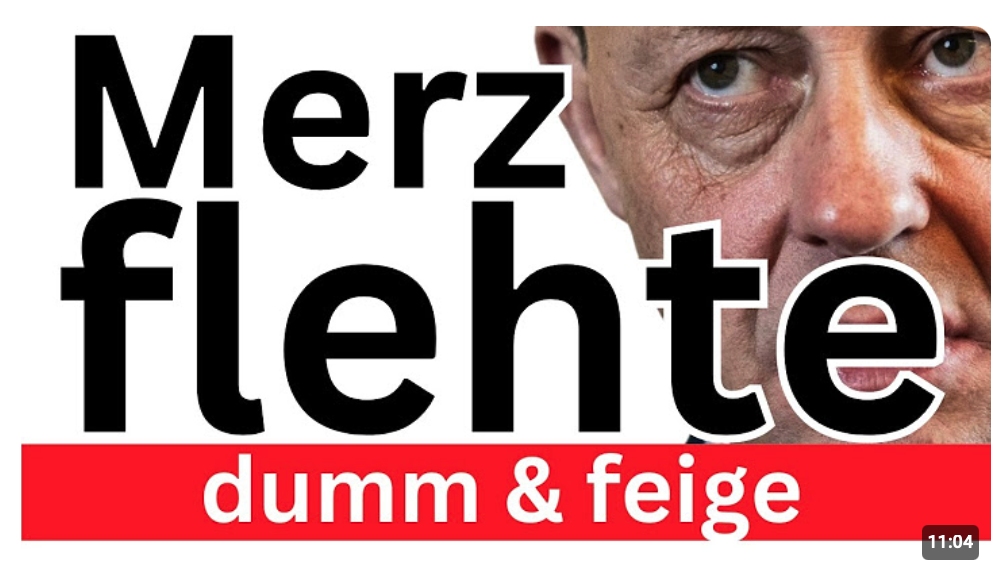 Merz bettelte ! CDU Titanic 