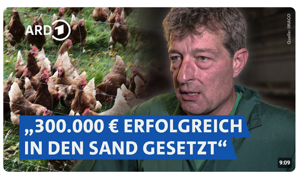 Eier ohne Kükentöten? Die Wahrheit hinter dem Versprechen | SUPER.MARKT rbb