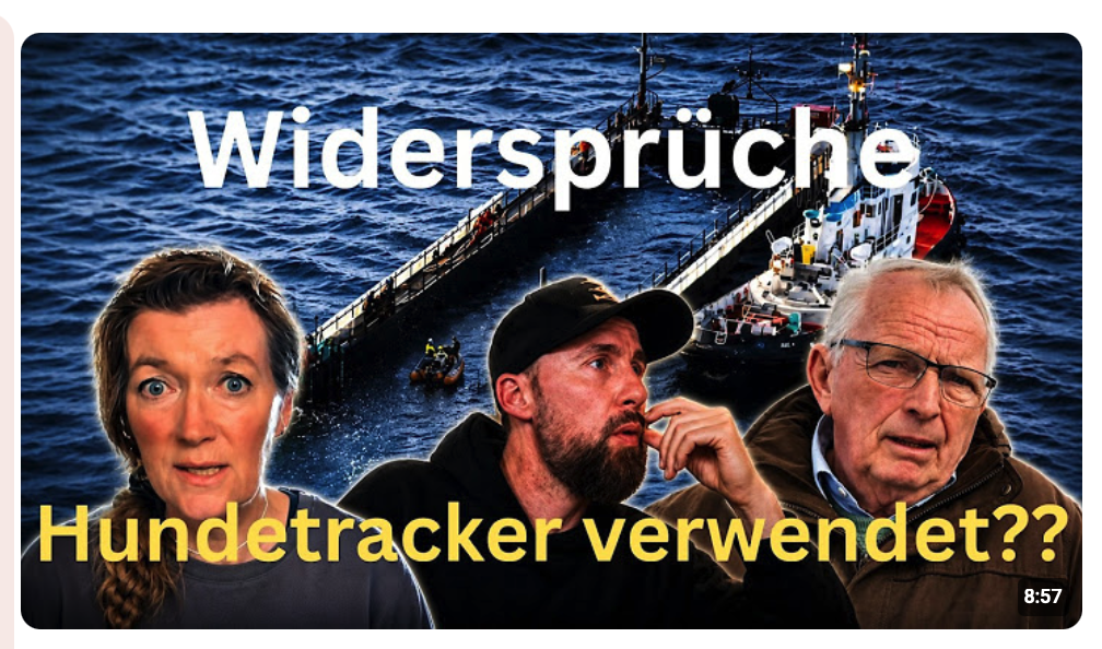 Hundetracker verwendet? – Welche Wahrheit stimmt?