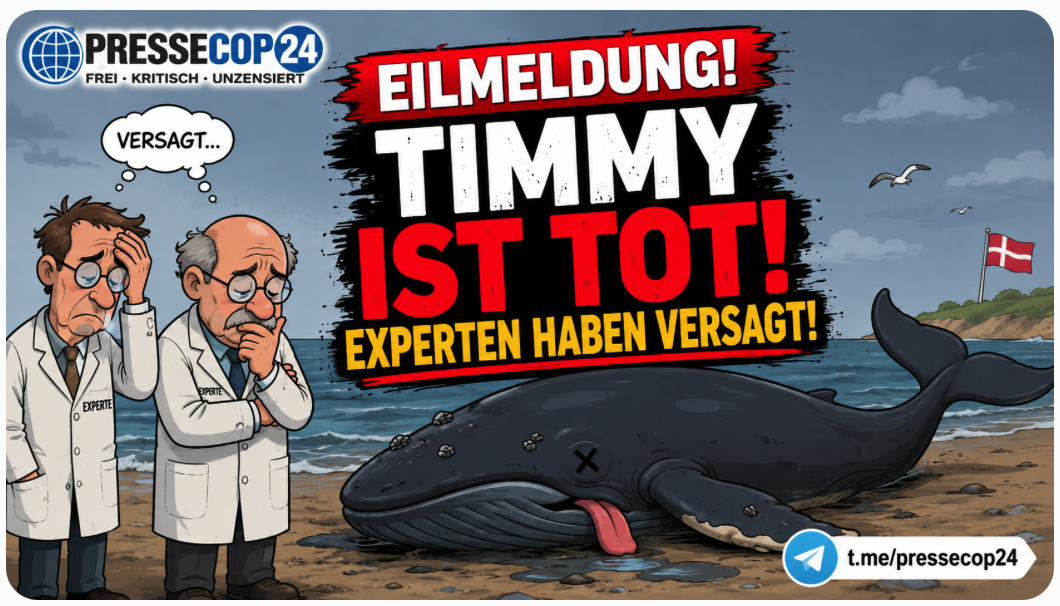 TIMMY-TRAGÖDIE VOR DÄNEMARK! SCHOCK-GEWISSHEIT AUS DEM NORDEN – DÄNISCHE BEHÖRDEN SIND SICH SICHER: DER TOTE BUCKELWAL IST TIMMY!