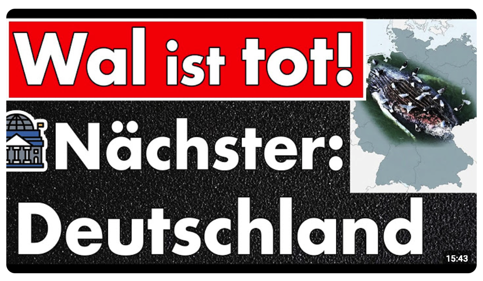 Experten, Gerichte und Politiker haben den Wal getötet – und Deutschland droht dasselbe Schicksal!