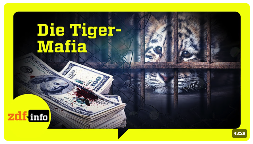 Undercover im illegalen Tierhandel: Das Milliardengeschäft der Wildtier-Mafia | ZDFinfo Doku