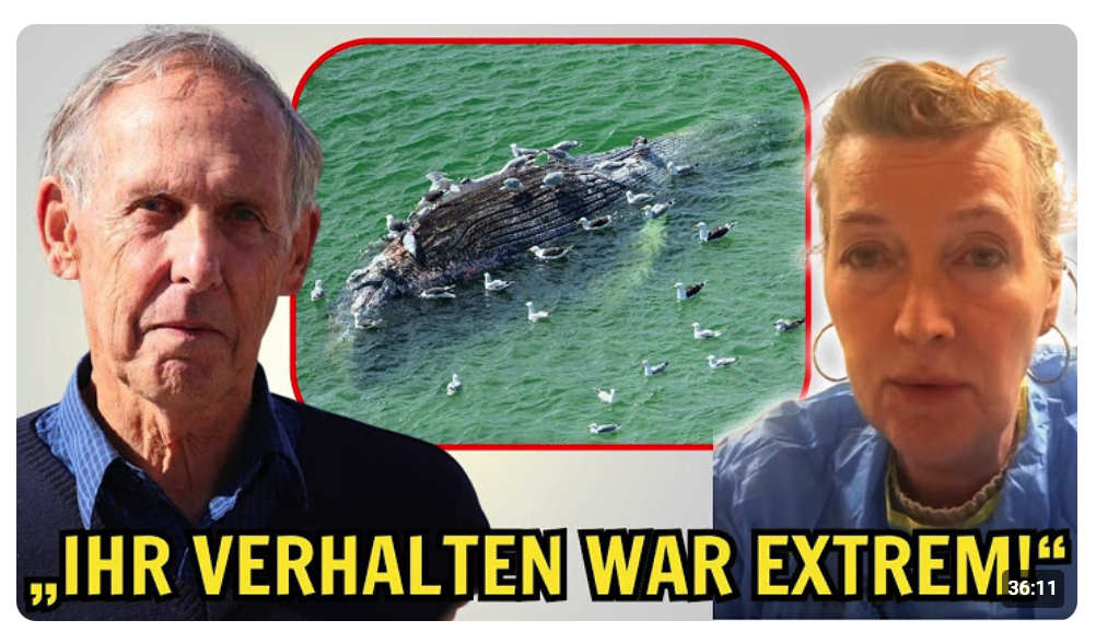 Reederei greift Kirsten Tönnies frontal an – „Ihr Verhalten war extrem!“