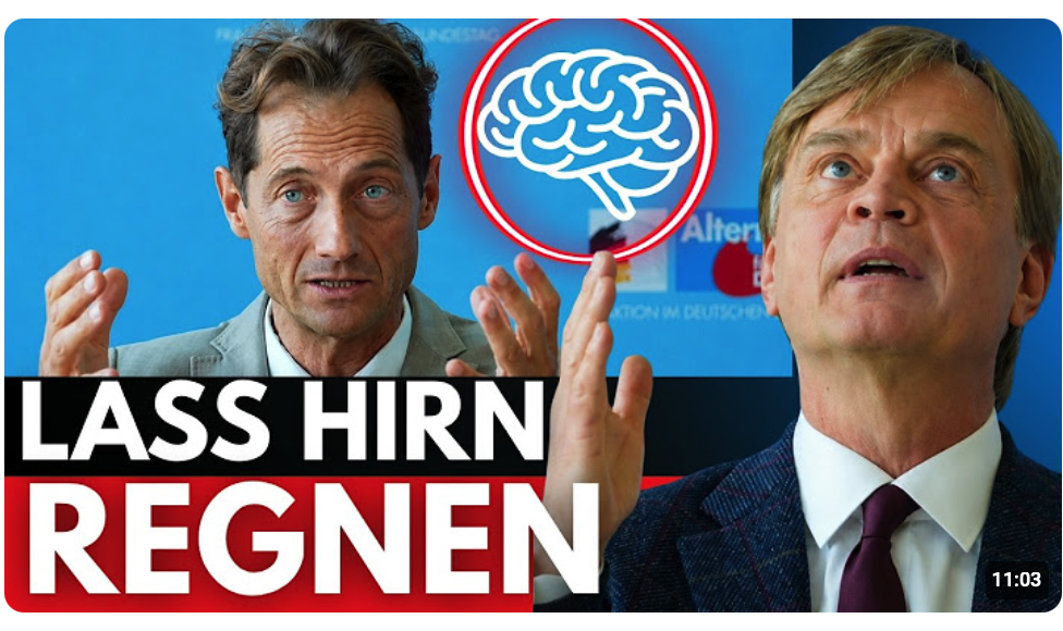 AfD Professor packt aus! CO2, Klima Hysterie, alles ein Schwindel?