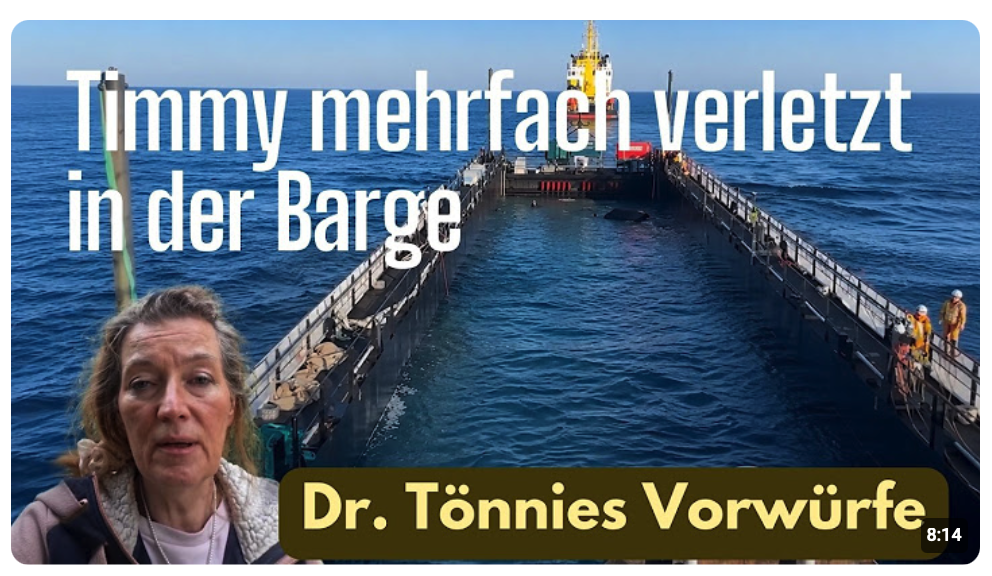 Timmy in der Barge verletzt – Dr. Tönnies Aussagen
