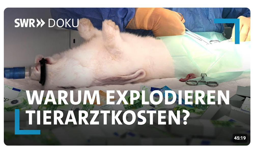Tierisch teuer – Was hinter den hohen Tierarztkosten steckt | SWR Doku