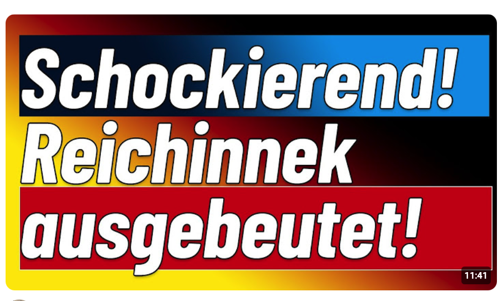 Deshalb ging sie in den Bundestag! Heidi Reichinneck und die Arbeitswelt, das glaubt einem keiner!