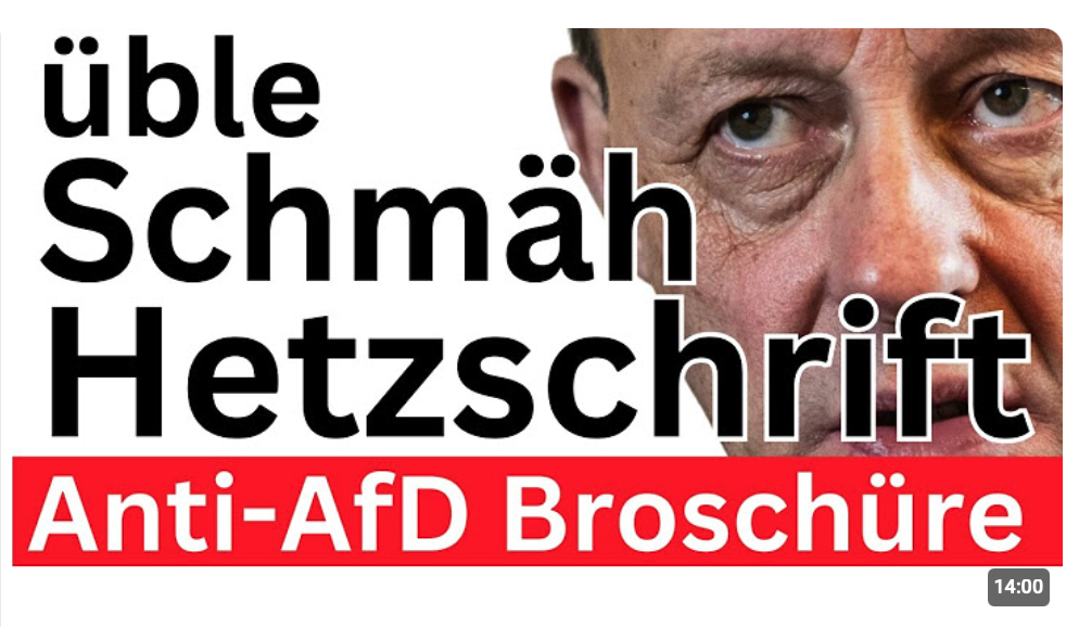 Merz Anti-AfD Hetzschrift 