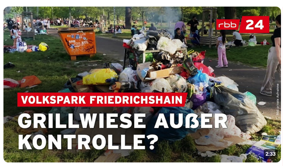 Schmutz, Lärm, Luftverpestung: Anwohner wehren sich gegen Grillwiese