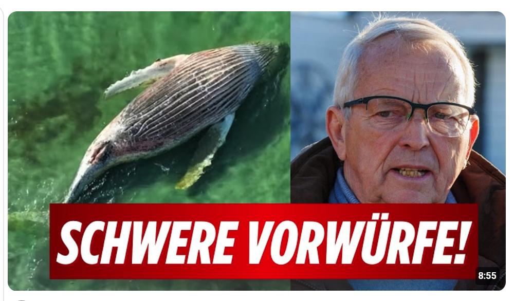Crew Mitglied erhebt schwere Vorwürfe! Backhaus redet sich bei Timmy wieder raus!