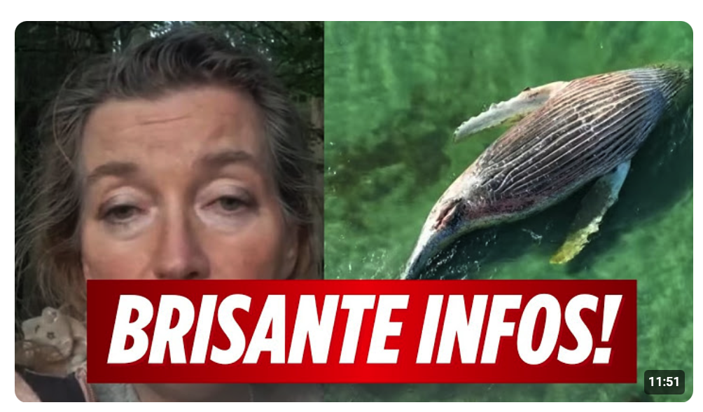 Tierärztin Tönnies gibt weitere Infos zu Timmy! Was passierte an Bord wirklich?