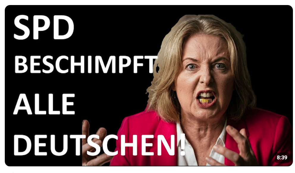 Für die SPD sind alle Deutschen nur eine braune Suppe.
