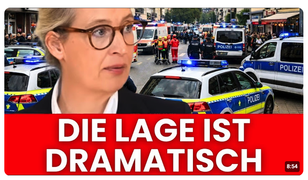 EINSÄTZE IN ALLEN DEUTSCHEN STÄDTEN  AFD RUFT NOTSTAND AUS