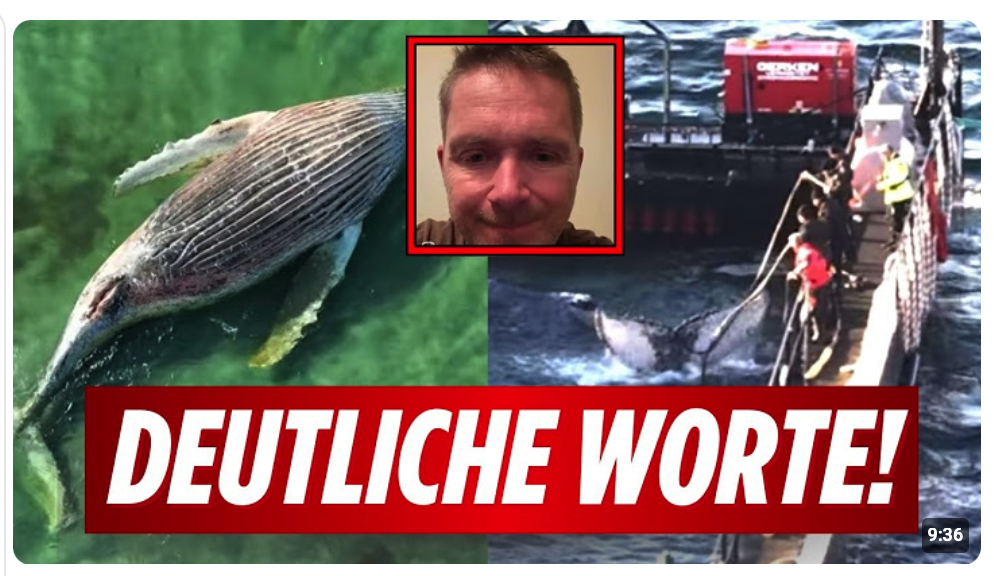 Anwalt Boos äußert sich zu Jeffrey Foster! Warum gibt es jetzt mehr GPS Tracker Daten von Timmy?