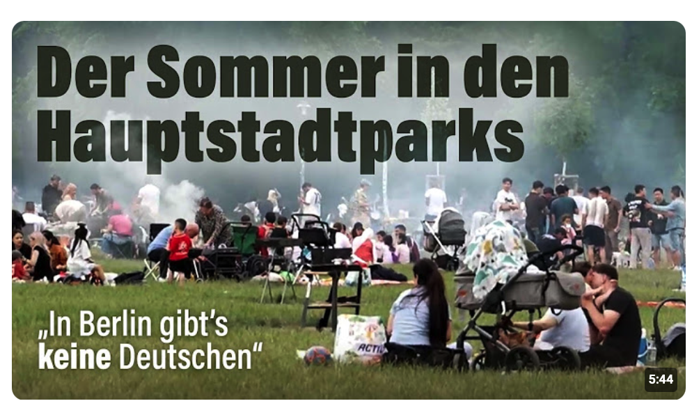Grill-Horror in der Hauptstadt! Zwischen Großfamilien und Dauerqualm |