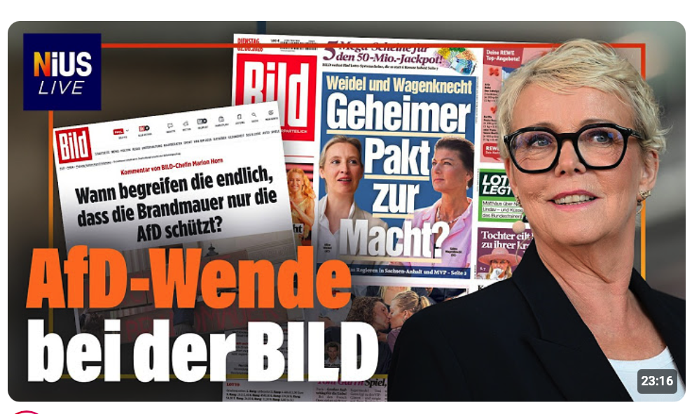 Warum die BILD plötzlich anders über die AfD berichtet | 