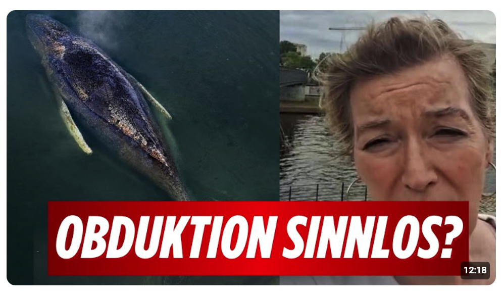 Tierärztin Tönnies legt nach! Macht die Obduktion bei Timmy überhaupt Sinn?