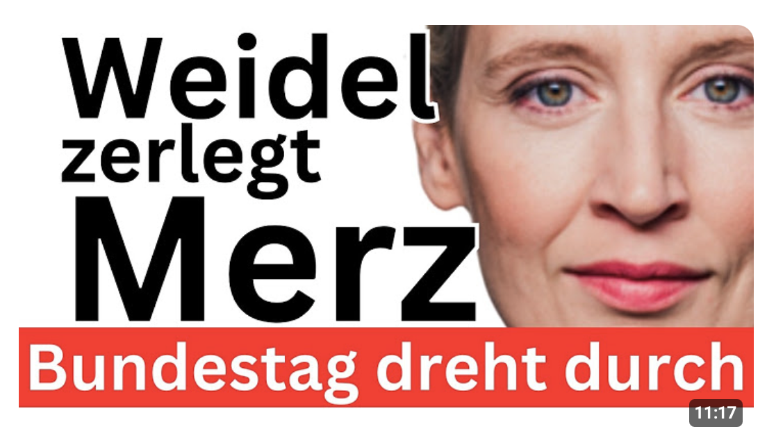 Weidel Klartext Bundestag 