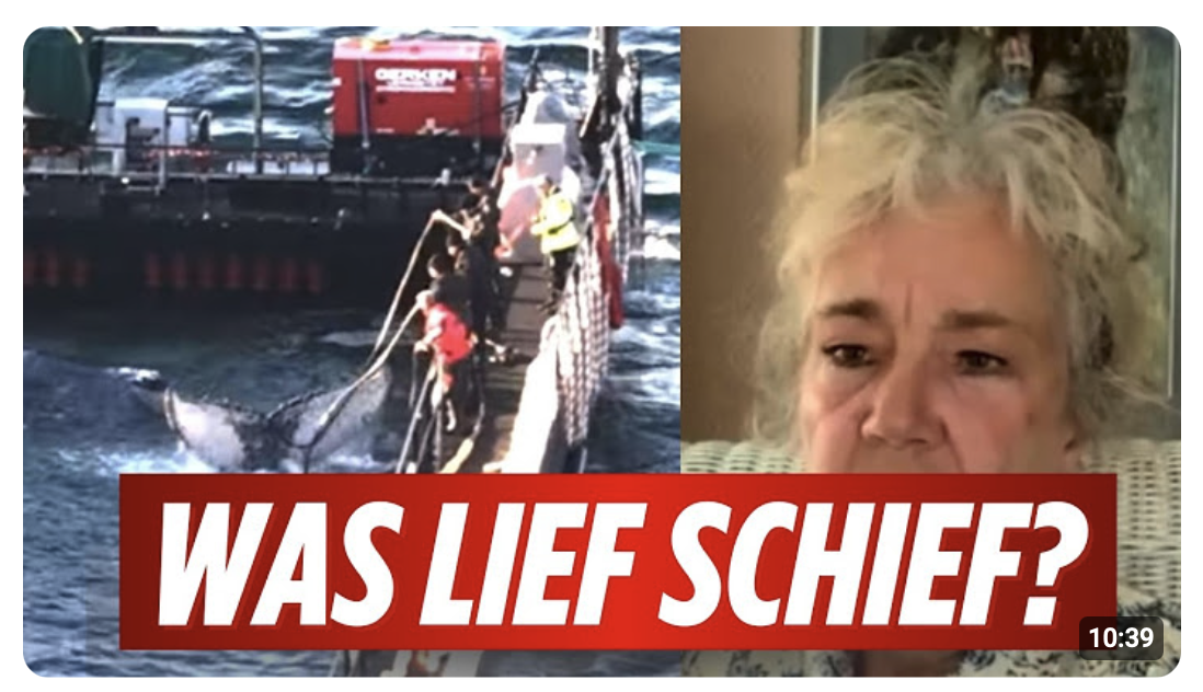 HEFTIGE KRITIK GEGEN WALTER MOMMERT! Was passierte bei der Rettung von Timmy?