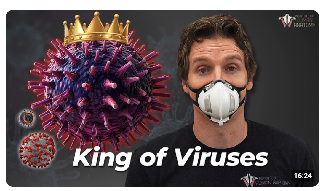 King of the Viruses: What Flu Does to the Body