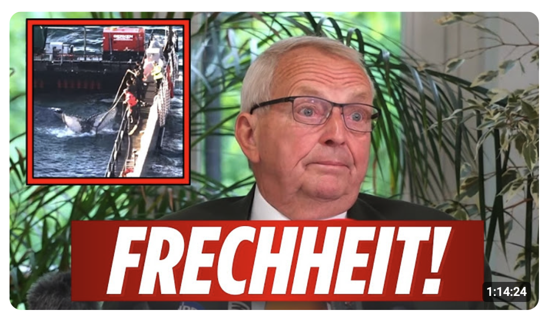 Backhaus redet sich um Kopf & Kragen! Neue Infos zu den Tracker Daten von Timmy!