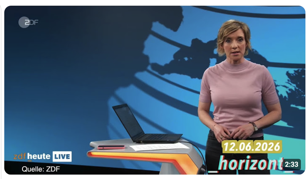 Das ZDF verbreitet groteske Desinformation über Elon Musk