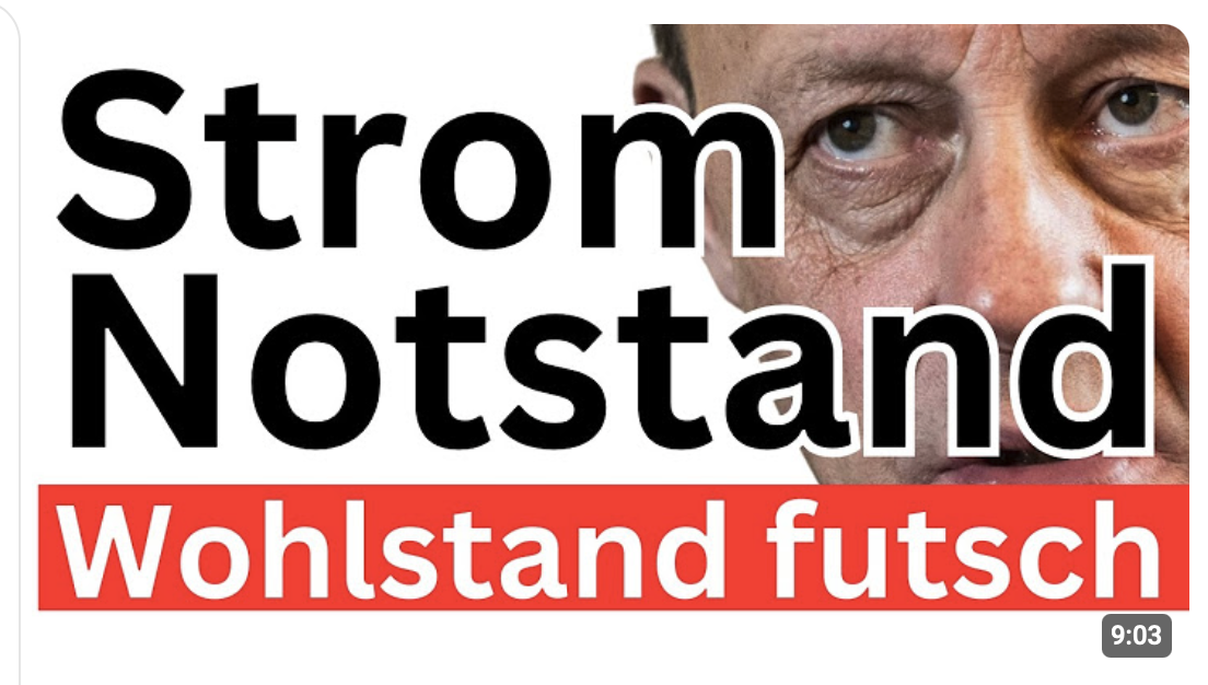Merz hasst Deutschland 