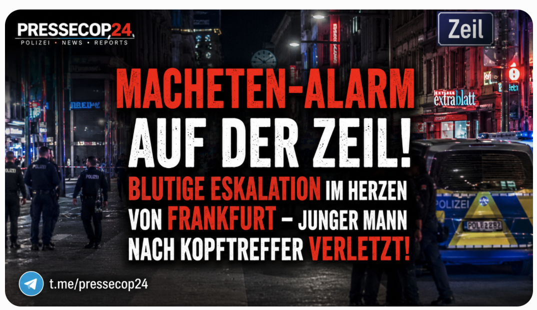 MACHETEN-ALARM AUF DER ZEIL! BLUTIGE ESKALATION IM HERZEN VON FRANKFURT – JUNGER MANN NACH KOPFTREFFER VERLETZT!