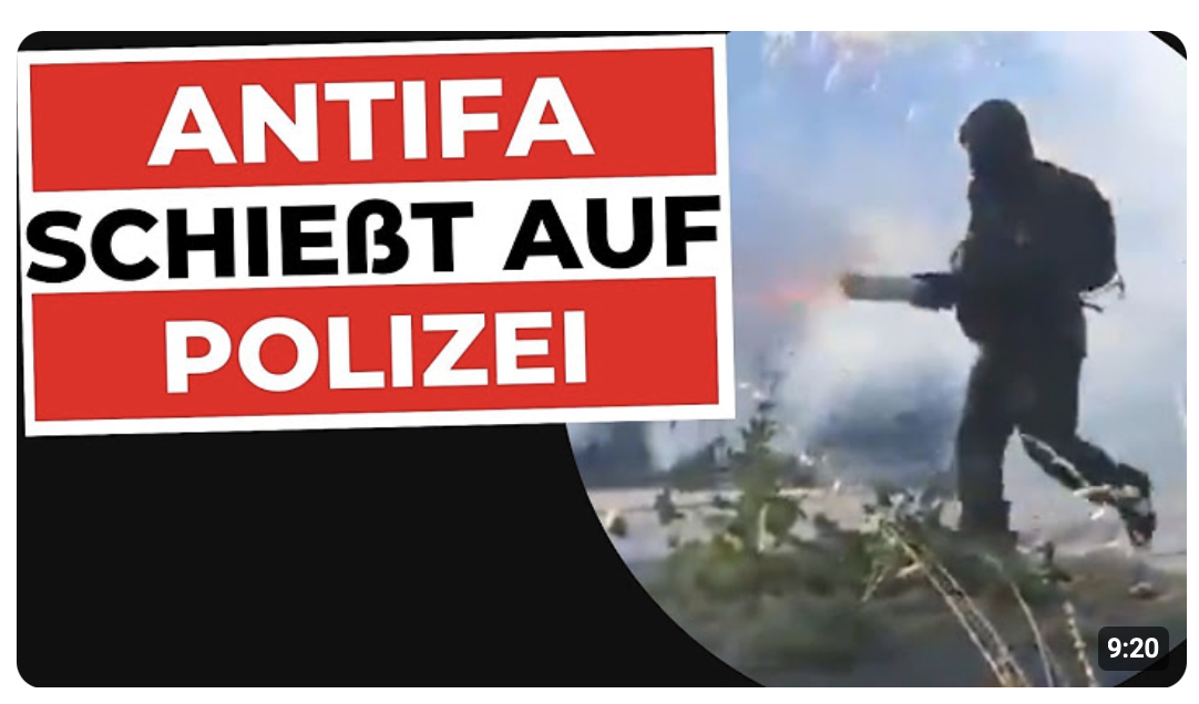 Linker Terror, du zahlst! NGO steckt GENF in BRAND! | Innere Sicherheit