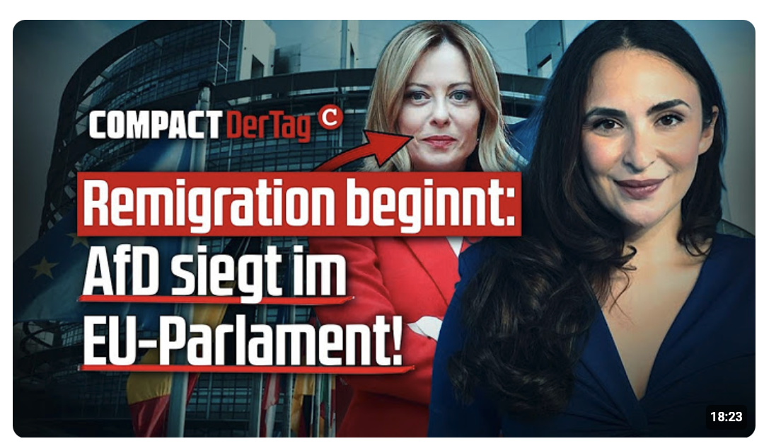 Remigration beginnt: AfD siegt im EU-Parlament!