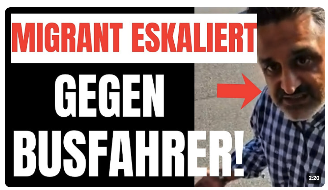 MIGRANT ESKALIERT gegen BUSFAHRER! Ich wäre längst AUSGERASTET!