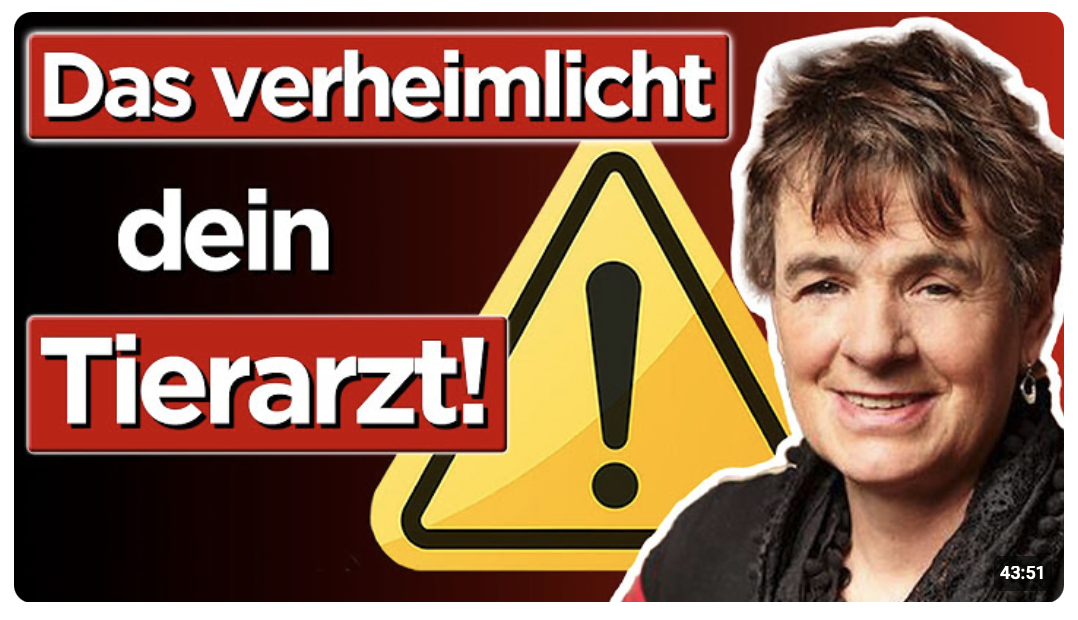 Lebensgefahr für dein Tier – Diese Mittel zerstören den Darm